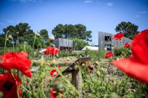 Pleumeur Bodou (22), Journée de la biodiversité à l'Ecocentre du Trégor @ EcoCentre du Trégor