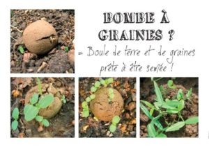 Quimper (29), Atelier eCOlab, Fabrication de bombes à graines @ Al'Terre Breizh