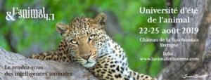 Pleugueneuc (35), Université d'été de l'animal 2019 @ Domaine de la Bourbansais