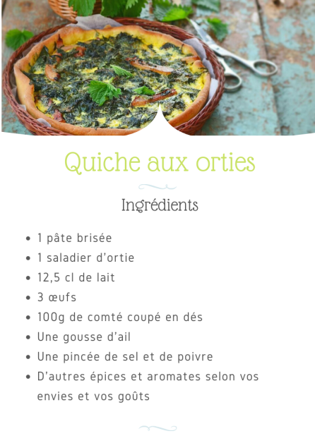 recette_quiche_aux_orties