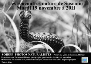 Morlaix (29), Rencontres photo animalière - Lycée de Suscinio @ Lycée agricole de Suscinio