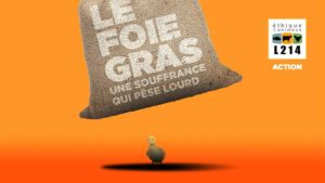 Quimper (29), Le foie gras, une souffrance qui pèse lourd @ Esplanade François Mitterrand