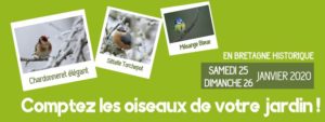 Comptage des oiseaux des jardins 2020