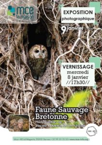 Rennes (35), Faune sauvage bretonne - Expo photos @ MCE de Rennes