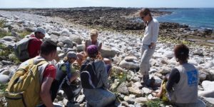 Pleumeur Bodou (22) Sortie nature Flore du littoral @ Station LPO de l'Ile Grande