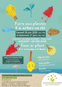 Huelgoat (29), Foire aux plantes - un arbre en été @ Les Arbres du Monde au Huelgoat