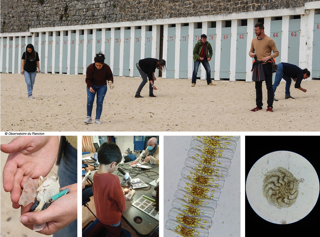 Plastique et plancton - Ramassage de plastiques sur la grande plage de Port-Louis et animation sur le thème "La vie dans une goutte d'eau".