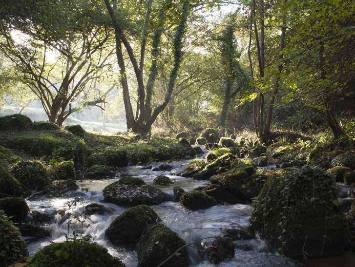 Le Léguer, première rivière de Bretagne