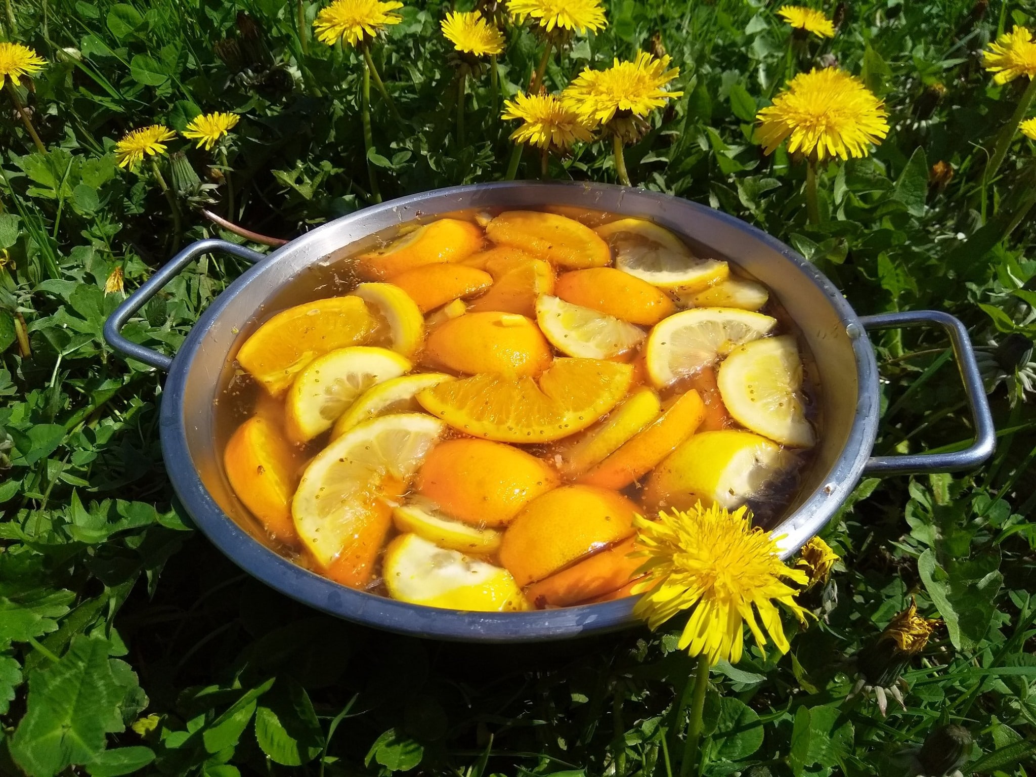 Recettes. Le vin de pissenlit EcoBretons