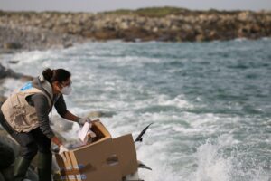 Visioconférence : Les centres de soins à la faune sauvage : fonctionnement, enjeux, avenir