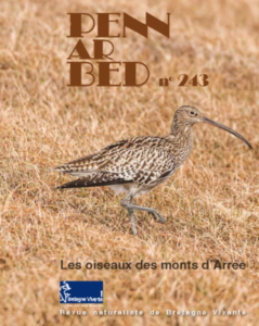 Morlaix (29), Oiseaux des monts d'Arrée à la librairie Dialogues @ Librairie Dialogues